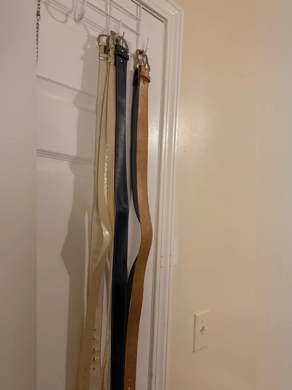 Home Accents Leather Belt Set in Cream, Navy, Black, cream and Tan